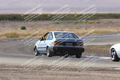 media/Oct-04-2025-OnGrid (Sat) [[44bd565ffa]]/Purple Group/Grapevine/